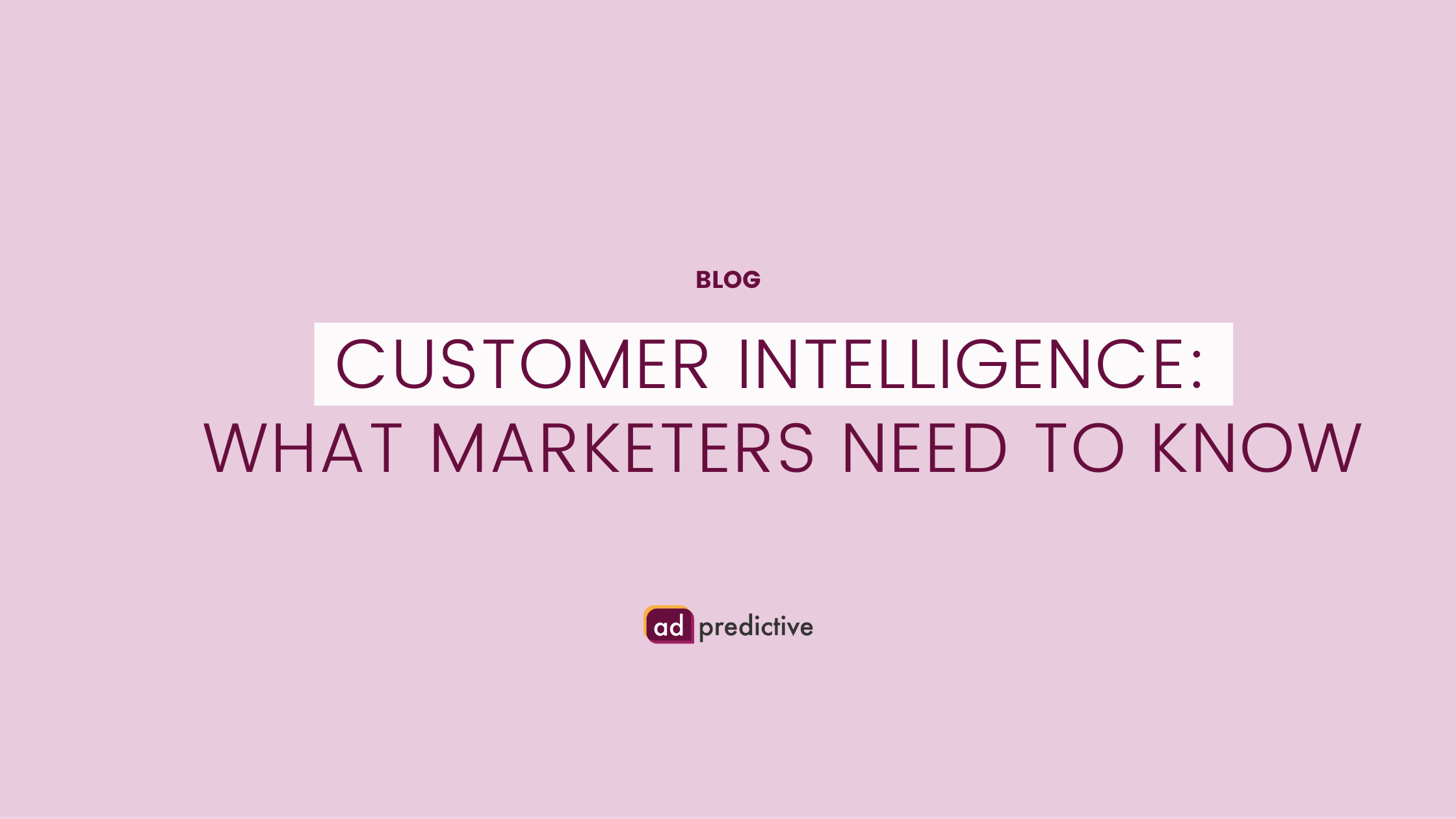Customer Intelligence: What Marketers Need to Know | AdPredictive